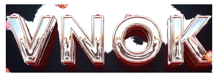 vnok logo